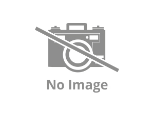 General Labour-General Labourer