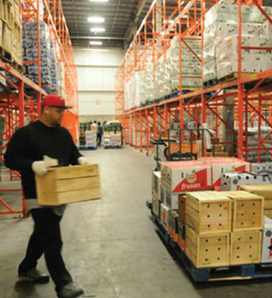 logistics labourers to hire 3 labourers